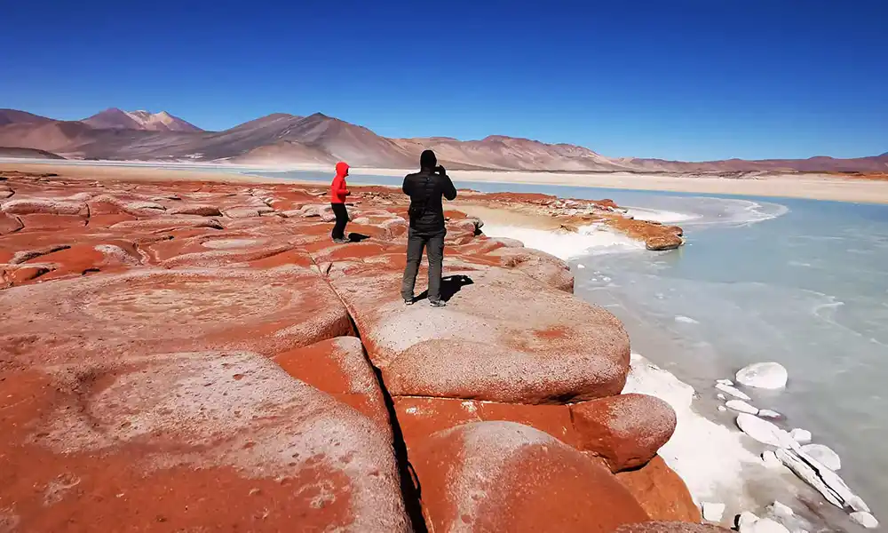 Tour Piedras Rojas y Lagunas Altiplánicas desde San Pedro de Atacama