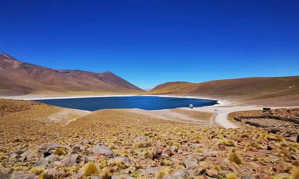 Tour Piedras Rojas y Lagunas Altiplánicas desde San Pedro de Atacama
